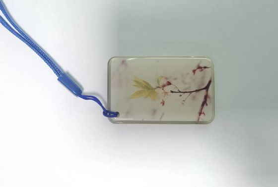 ISO14443A RFID NFC Tag 13.56Mhz NFC Epoxy Tag Untuk Sistem Kontrol Akses